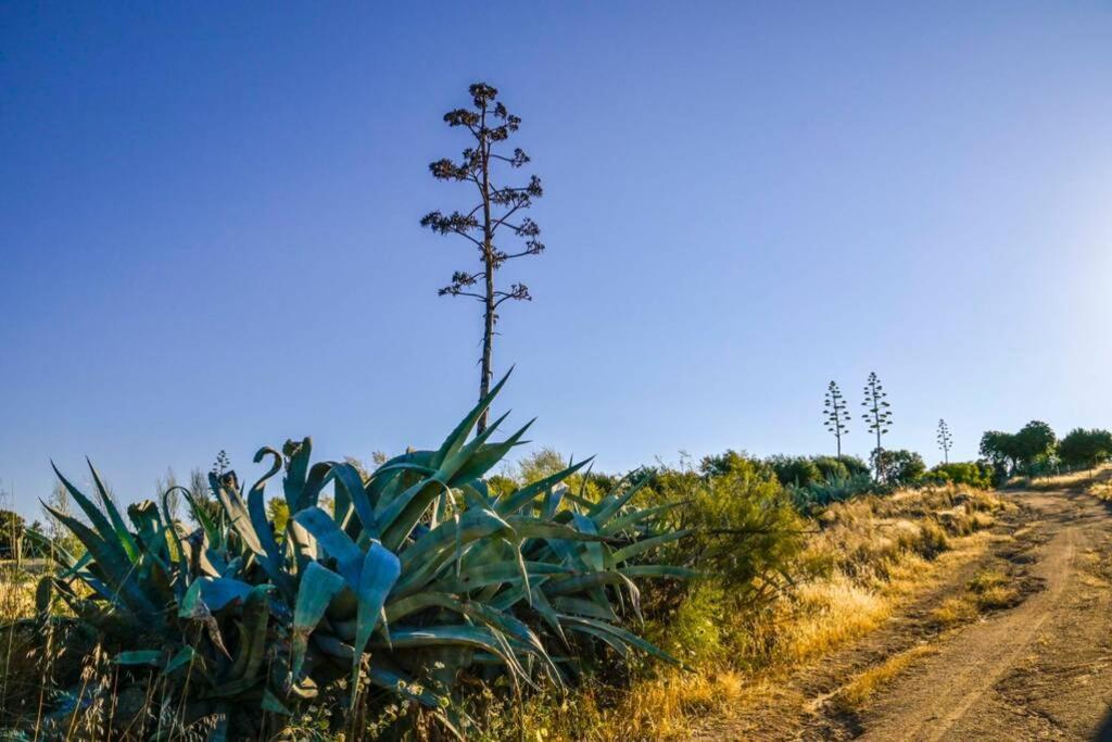 Un Espacio Unico, 'la Casona Del Senor' Con Bodega